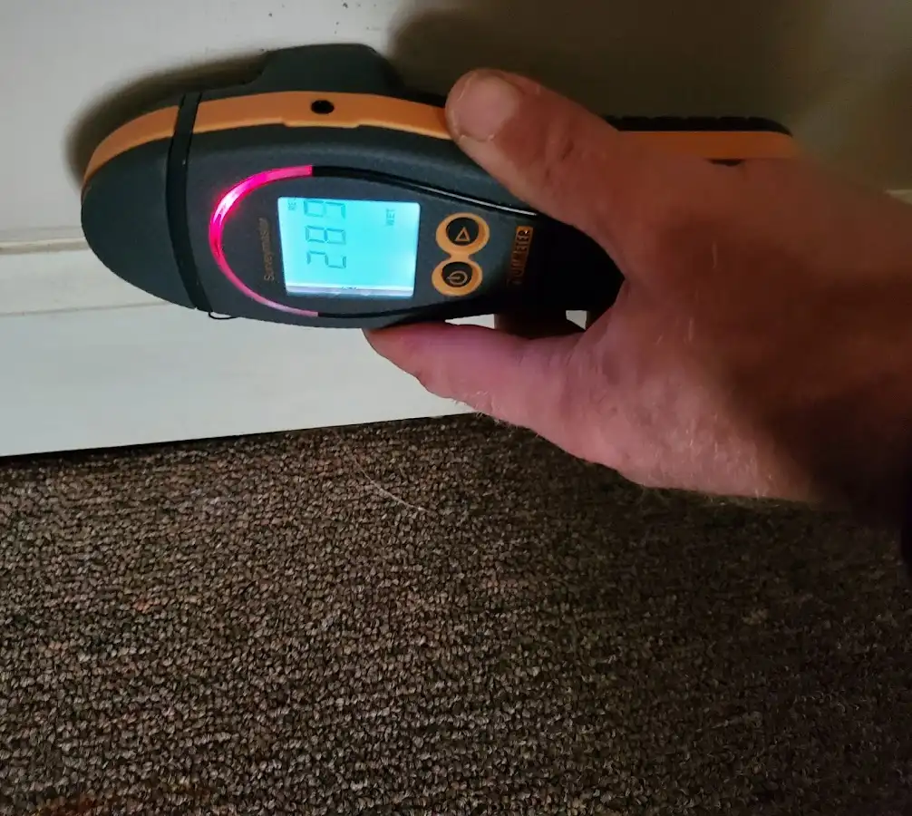 Moisture detection at baseboard during Sewage Cleanup & Sanitation in East Pennsboro